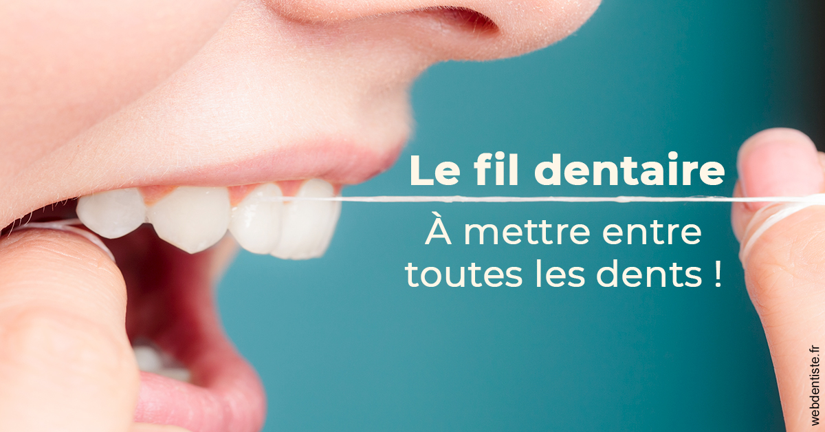 https://dr-thierry-guerin.chirurgiens-dentistes.fr/Le fil dentaire 2