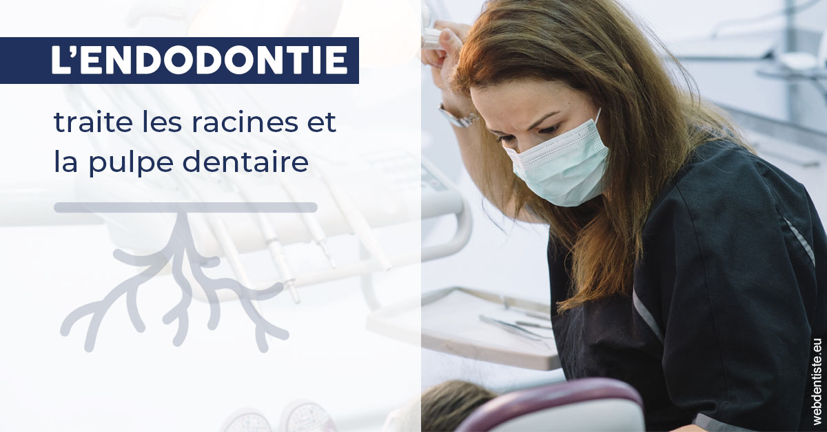 https://dr-thierry-guerin.chirurgiens-dentistes.fr/L'endodontie 1