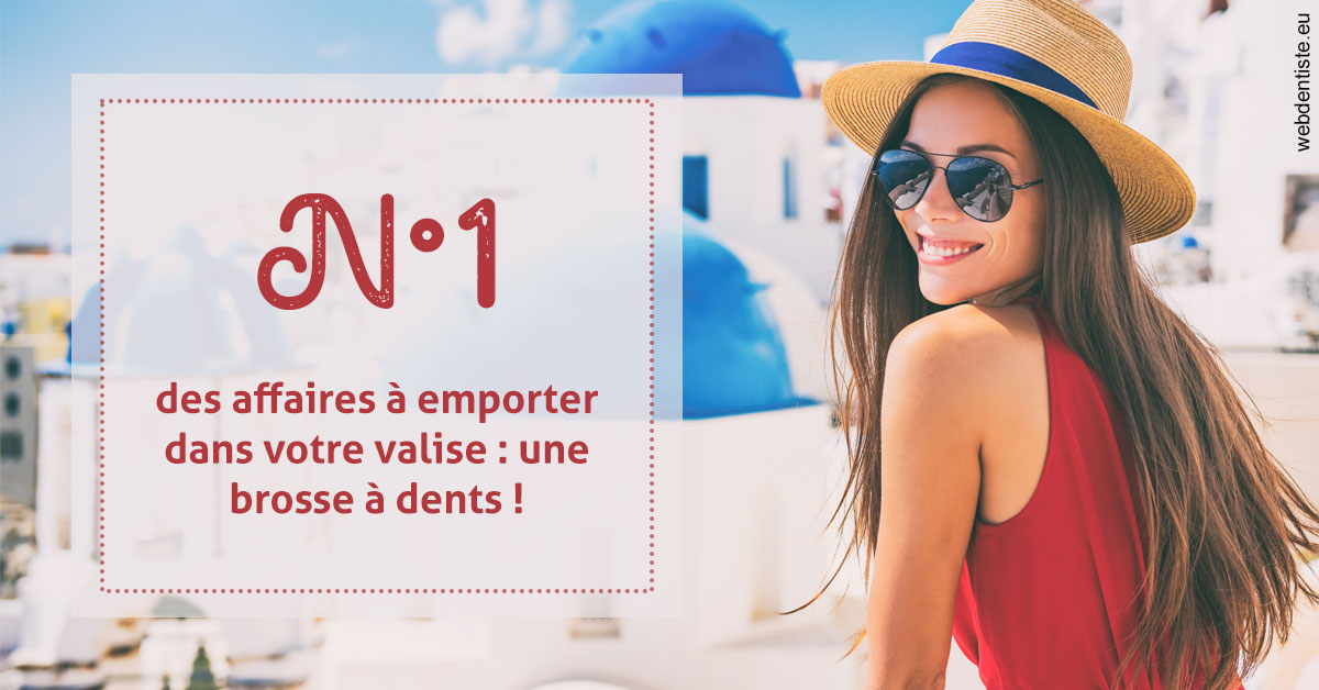 https://dr-thierry-guerin.chirurgiens-dentistes.fr/Brosse à dents valise 1