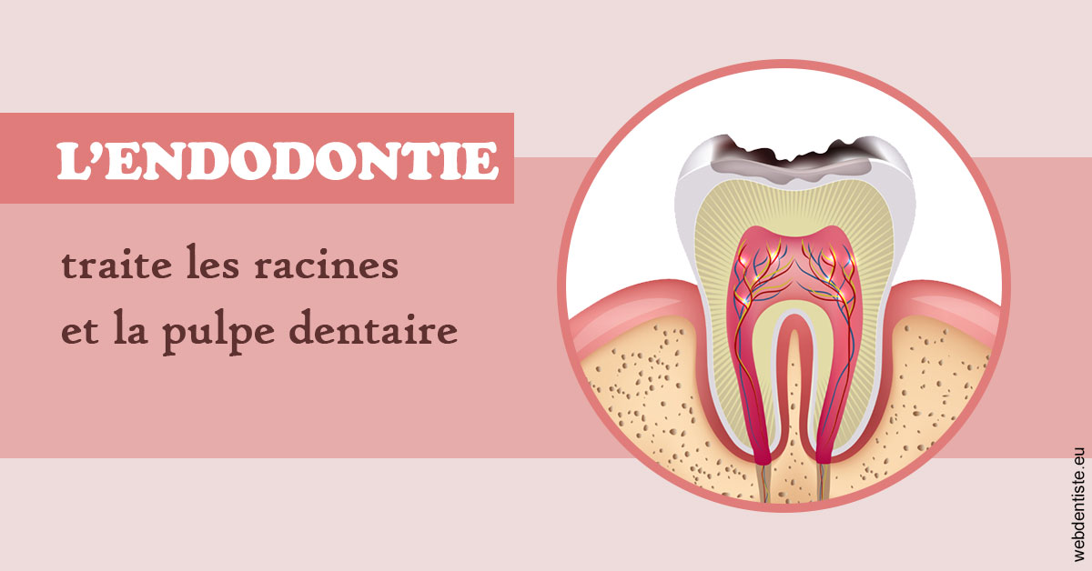 https://dr-thierry-guerin.chirurgiens-dentistes.fr/L'endodontie 2