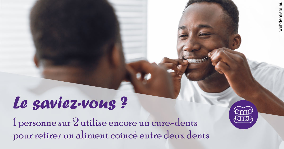 https://dr-thierry-guerin.chirurgiens-dentistes.fr/Cure-dents 2