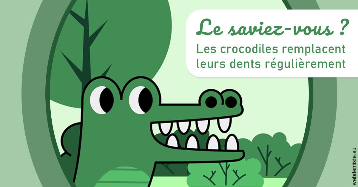 https://dr-thierry-guerin.chirurgiens-dentistes.fr/Crocodiles 2