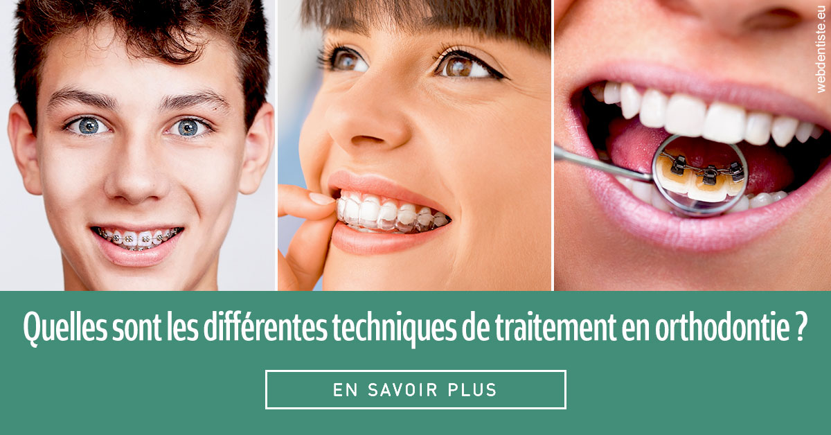 https://dr-thierry-guerin.chirurgiens-dentistes.fr/Les différentes techniques de traitement 2