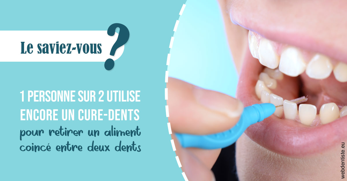 https://dr-thierry-guerin.chirurgiens-dentistes.fr/Cure-dents 1